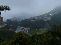 Cricket ground, 2013