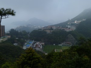 Cricket ground, 2013