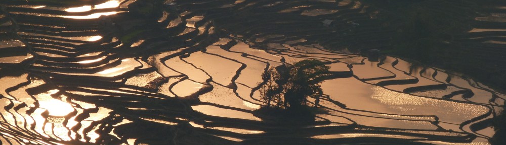 Yunnan rice terraces