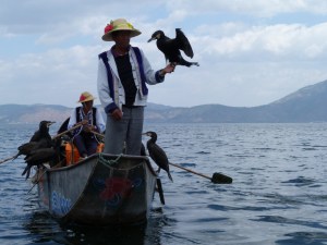 cormorant fisherman on Erhai Lake